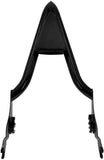 HDBUBALUS Detachable Rear Passenger Sissy Bar Backrest with Pad Fit for Harley Touring Road King Road Glide Street Glide 2009-2021