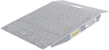 Guardian SR-01-24-24-P-TS6 Shed Ramp with Punch Plate Surface