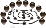 Camco 42772 Decorative RV Awning Globe Lights - 10 Clear Globes on Black Wire, Fits Directly into Your RV Awning Track, Great for Outdoor Events