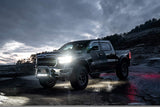 Lund 54300 NightFX Guide Lights for 2015-2019 Ford F-150/F-250/F-350